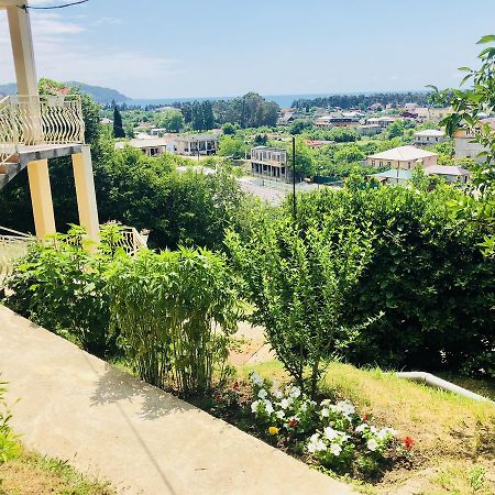 Guest House Panorama ピツンダ エクステリア 写真